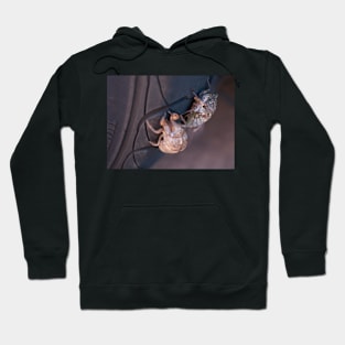 The Voice of Summer Hoodie